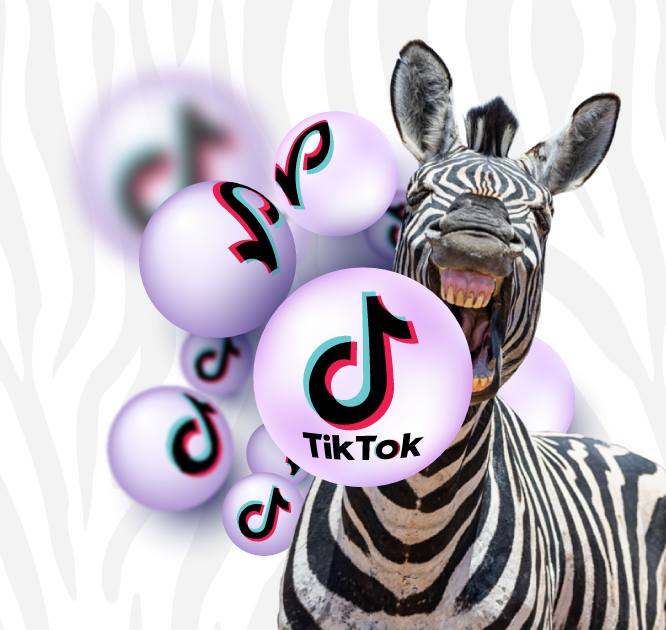 <p>Jak podnieśliśmy liczbę obserwujących markę OSAVI na Tik Toku o 700%</p>
