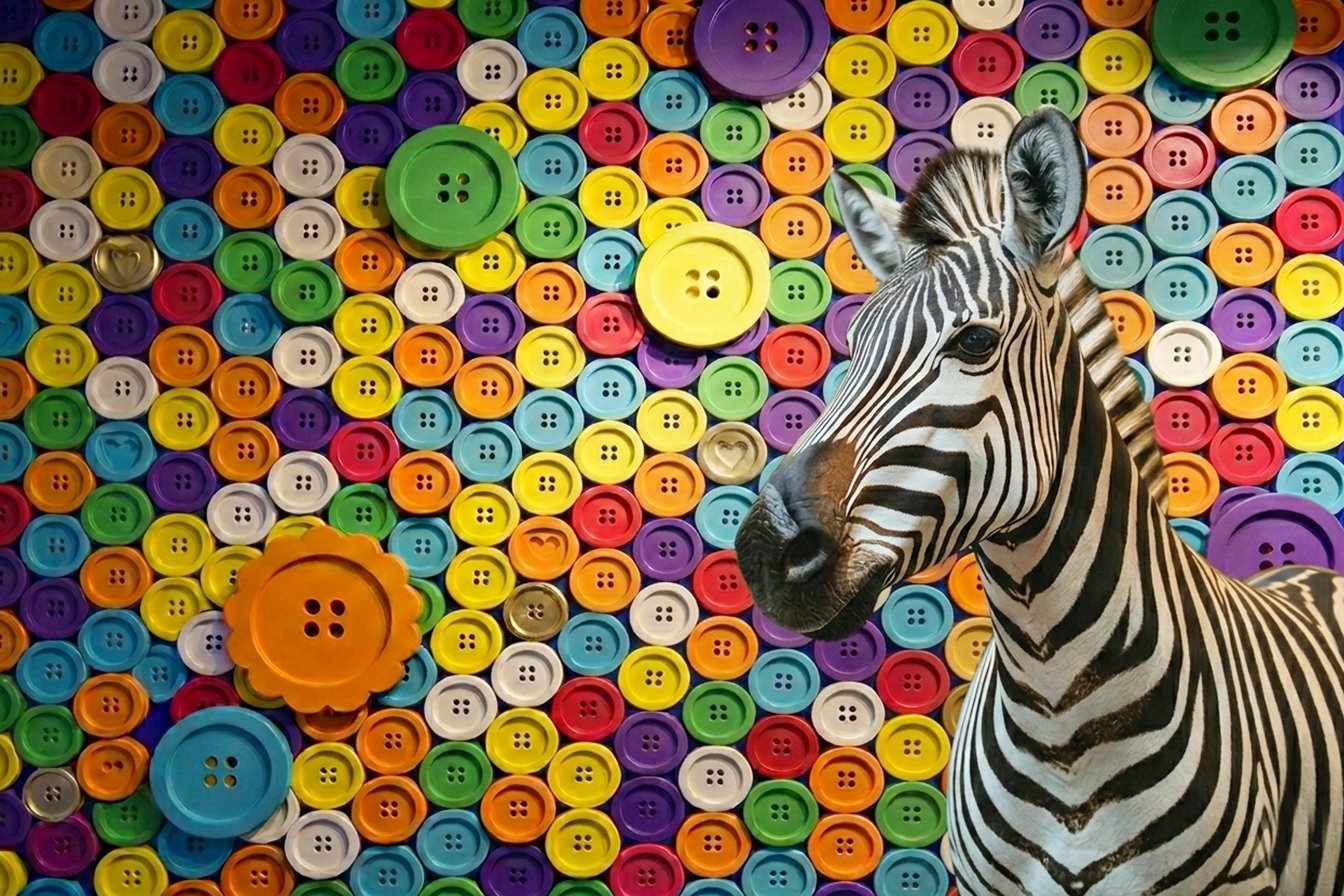 Case Study Background